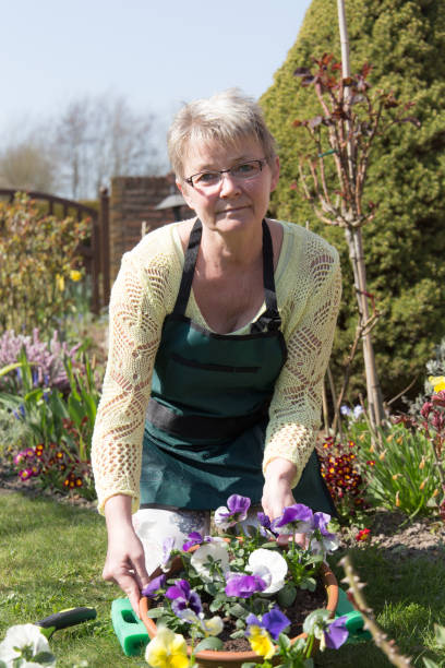 istock Senior woman working in her garden 823295866