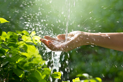 Water pouring in woman hand on nature background, environment concept