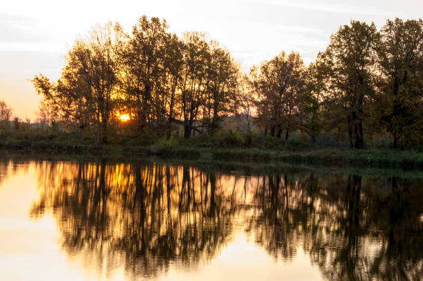 istock Landscape. Sunset over the lake, fall trees reflected in water. 823304552