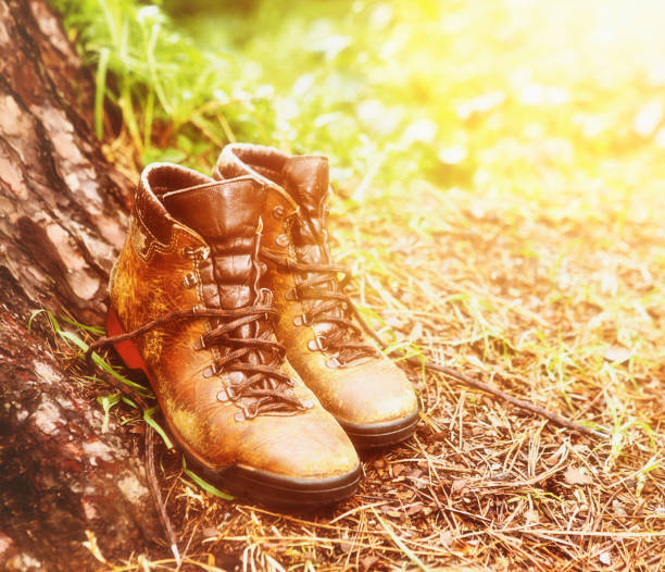 istock Scuffed old hiking boots sunlit at foot of tree 823306840