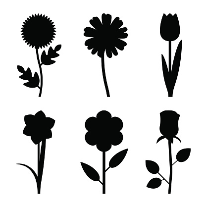 Flowers black silhouettes. Vector illustration of garden flowers.