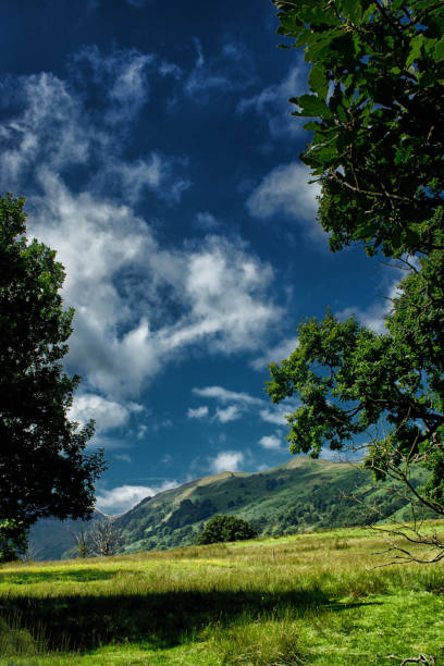 View through trees of fells near Ullswater in Cumbria.
