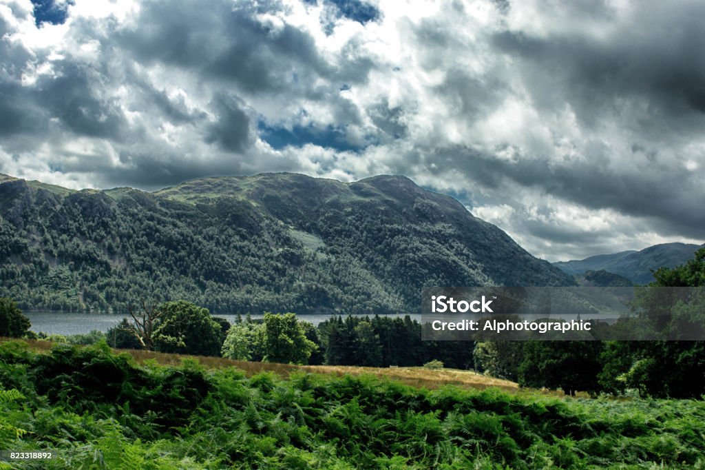 Zien door de bomen in de buurt van Ullswater - Royalty-free Architectuur Stockfoto Zien door de bomen in de buurt van Ullswater - Royalty-free Architectuur Stockfoto