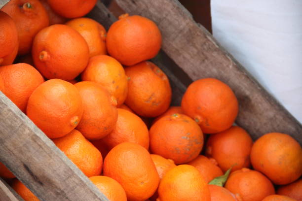 istock Orange lemon pomelo tangerine juices 823326810