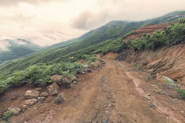 istock cobble stone road in mist under motion blur in mountain 823326878