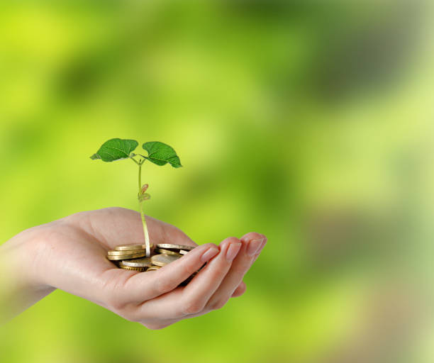 istock Investing to green business 823327352