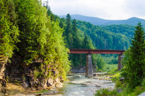 istock mountain river with a rapid current of rocks and a bridge 823331936
