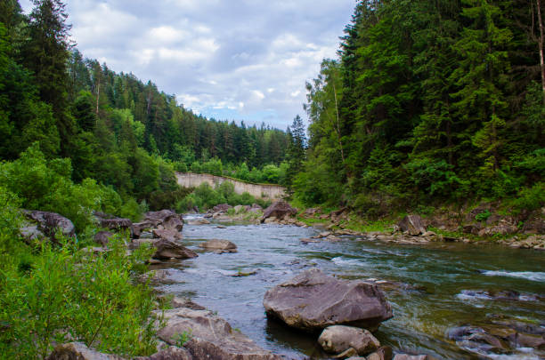 istock mountain river with a rapid flow of water along the rocks 823335722