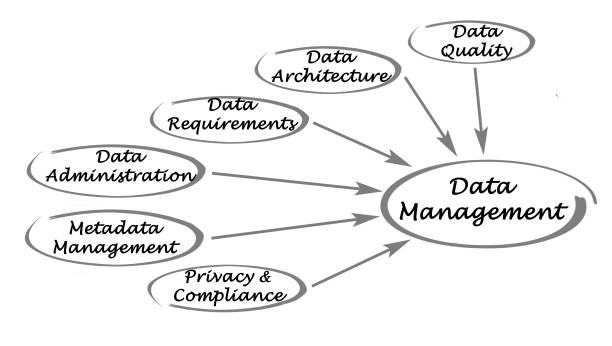 istock Diagram of data management 823344928