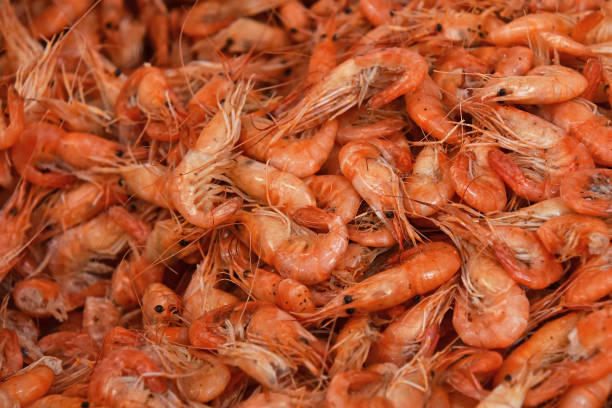 istock Fresh boiled pink small shrimps close up 823345126