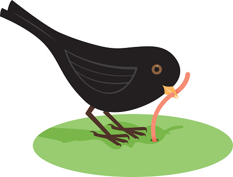 A blackbird eating a worm