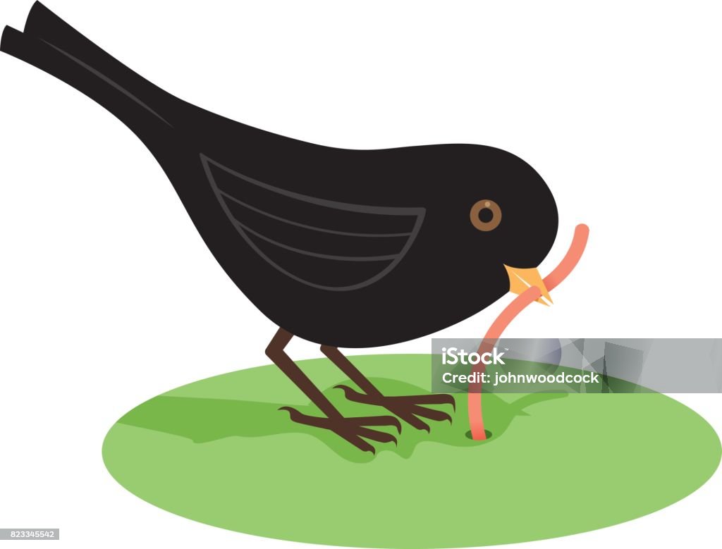 Early bird getting the worm A blackbird eating a worm The Early Bird Catches The Worm stock vector
