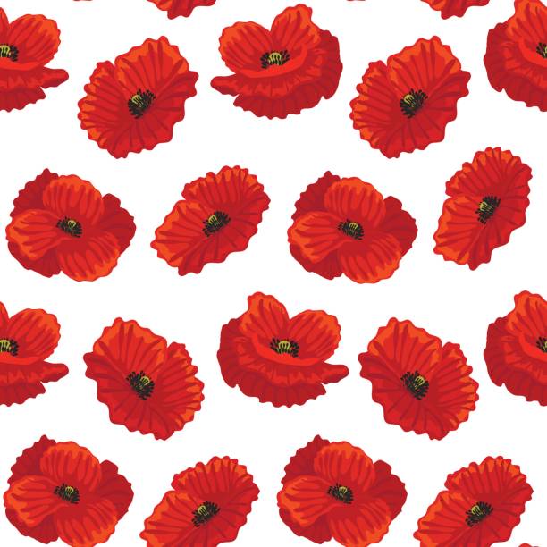 ilustraciones, imágenes clip art, dibujos animados e iconos de stock de patrón de fondo amapola flor detalle realista. vector de - poppy flower field red