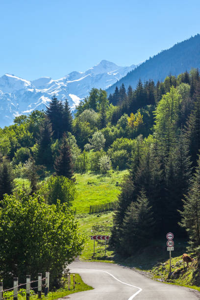istock Mt. Tetnuldi, Upper Svaneti, Georgia, Europe 823353486