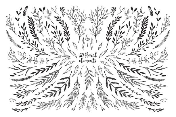 ilustrações de stock, clip art, desenhos animados e ícones de hand sketched vector vintage elements ( laurels, frames, leaves, flowers, swirls, branches). wild and free. summer collection. perfect for invitations, greeting cards, posters, prints etc - wedding invitation illustrations