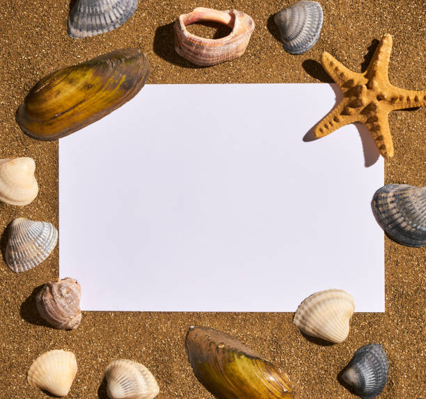 istock Vacation memories from beach, seashell and starfish, with blank photo frame on sand. Top view, copy space 823358512