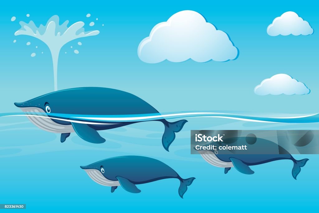 Ballena nadando en el océano