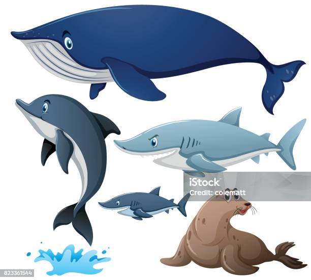 Sharks And Other Sea Animals Stock Illustration - Download Image Now - Animal, Animal Wildlife, Art