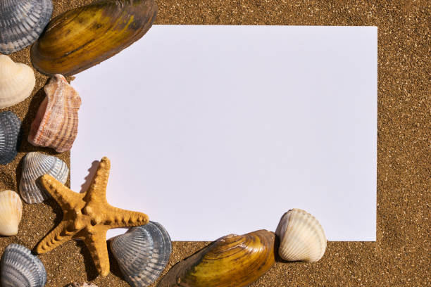 istock Summer holiday beach concept with shells, seastars and an blank postcard with copy space 823364224