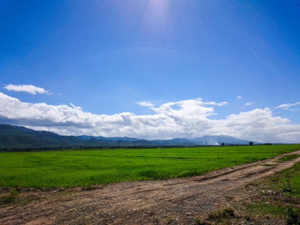 istock A distance view of mountains and rice field 823366200