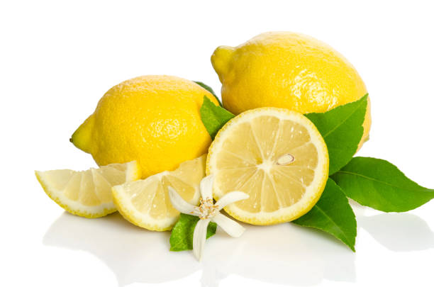 istock Lemons tree flower and a lemons isolated on white background 823368778