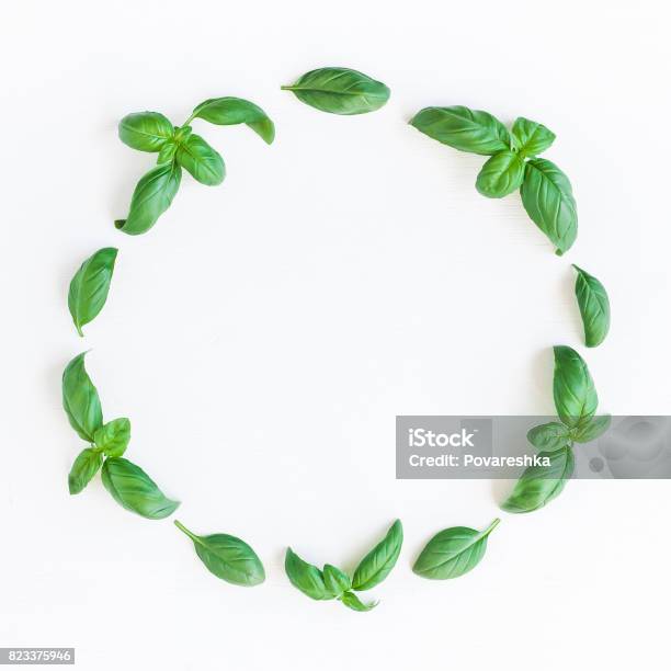 Fresh Green Basil On White Background Flat Lay Top View Stock Photo - Download Image Now