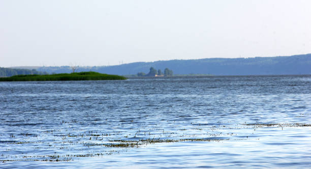 istock The river in the summer 823378662