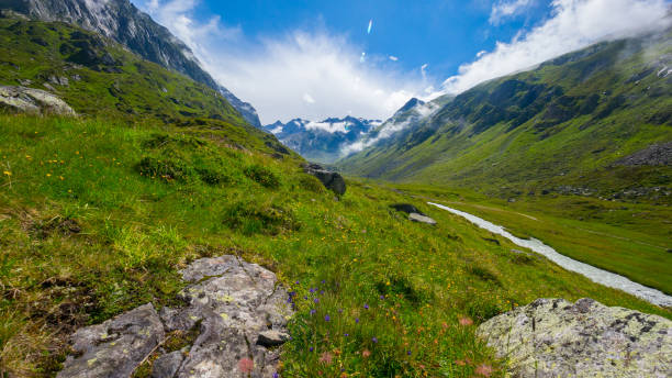 istock Austrian alps in Stubaital in summer 823382426