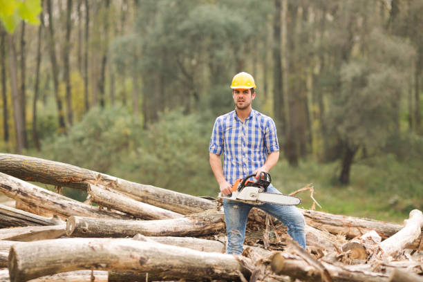 istock Guy with yellow helmets cuts wood with a chainsaw 823383234