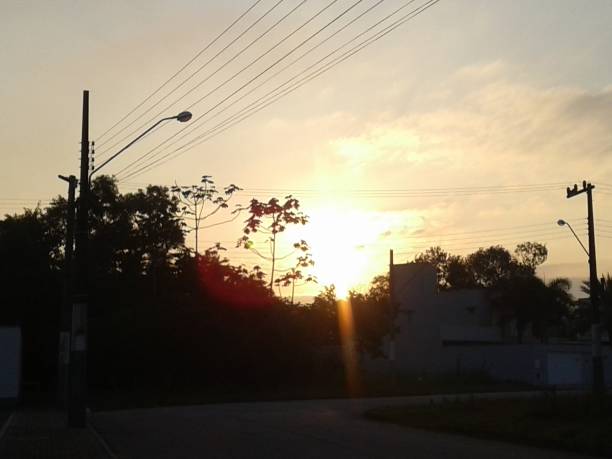 istock Sun rising through trees and haze 823386374