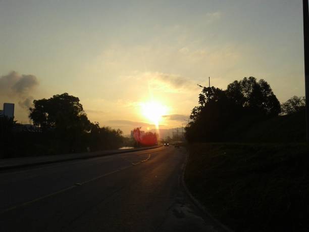 istock Sun rising through trees and haze 823386532