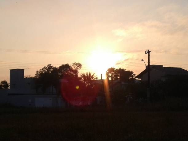 istock Sun rising through trees and haze 823386536