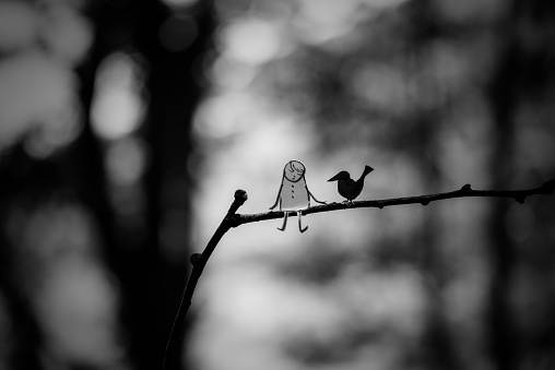 On the branch with birds