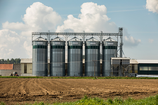 Silos on the field. Grain Storage Bins. Elevator to store grain in a field on farmland.