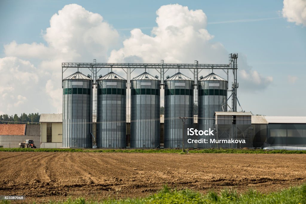 Elevator to store grain in a field on farmland Silos on the field. Grain Storage Bins. Elevator to store grain in a field on farmland. Feeding Stock Photo