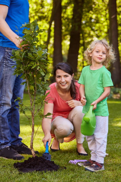 istock Family spending time together 823389924