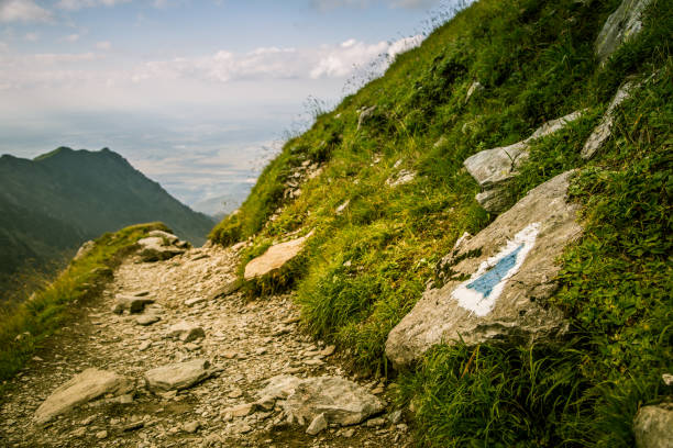 istock A beautiful mountain landscape in Carpathian mountains 823389932