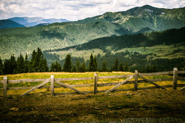 istock A beautiful mountain landscape in Carpathian mountains 823390110