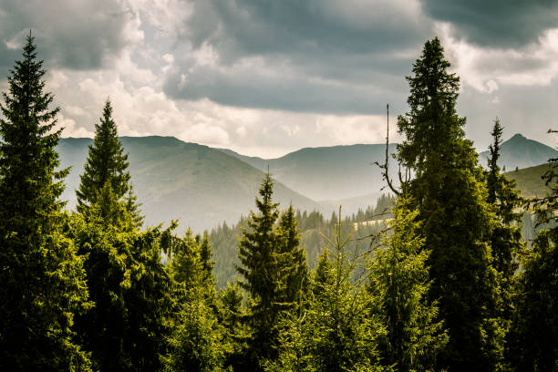 istock A beautiful mountain landscape in Carpathian mountains 823390384