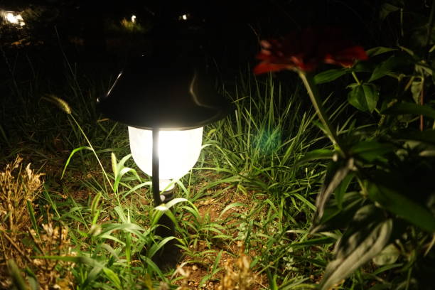 istock Lantern night shines in the garden 823398920