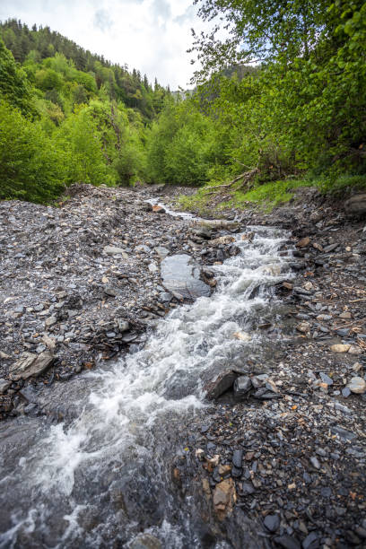 istock Stream of a mountain river in svaneti, Georgia 823402462