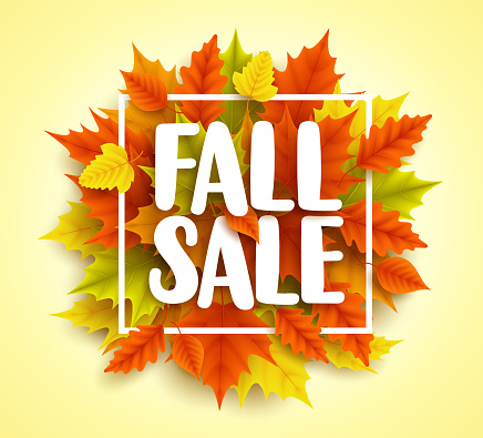 Fall sale text vector banner with colorful 3D realistic autumn maple leaves in yellow orange background for seasonal marketing promotion. Vector illustration.