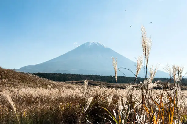 Photo of view to Fuji mount in Japan