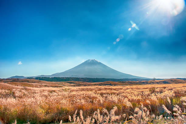 istock view to Fuji mount in Japan 823413424