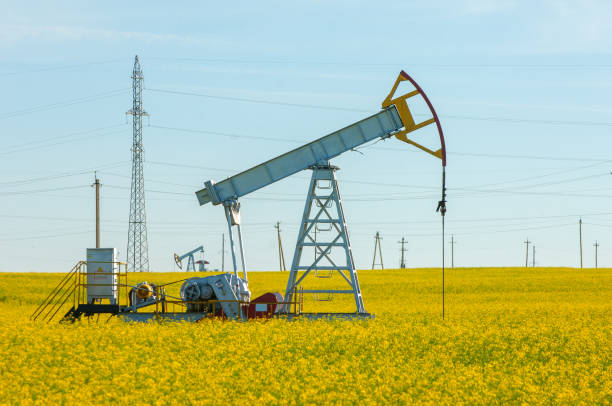 istock rocking oil, rapeseed field 823414622