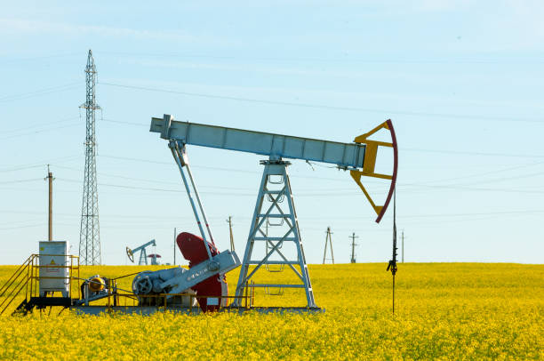 istock rocking oil, rapeseed field 823416890