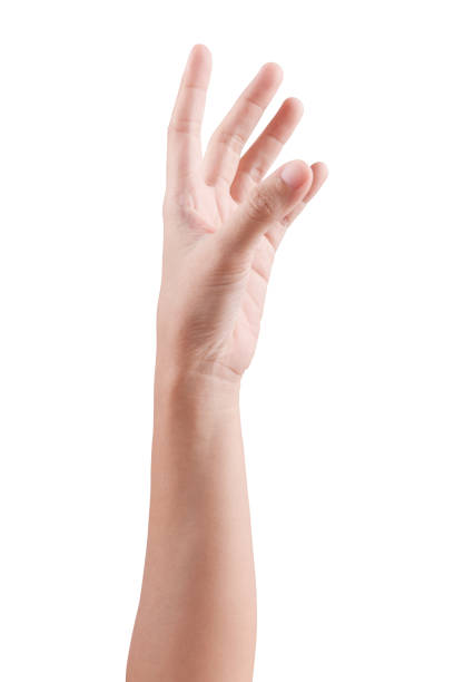 istock Woman beautiful hand handle of posture isolated on a white background 823421144