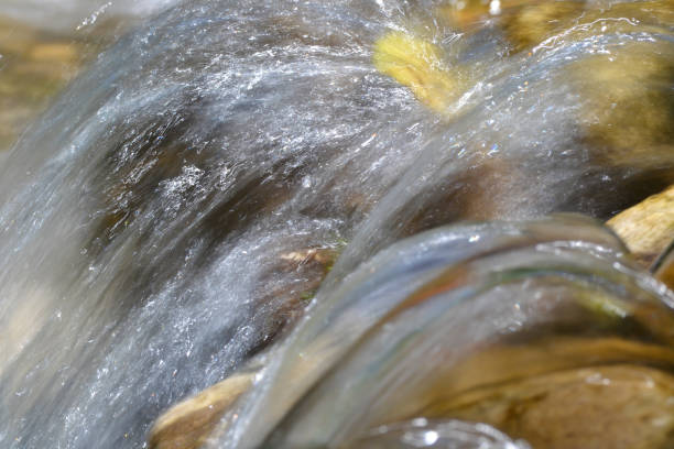 istock Water falling over stones in a wild river 823425928