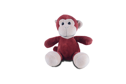 lonely little monkey doll