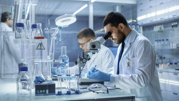 istock In a Modern Laboratory Two Scientists Conduct Experiments. Chief Research Scientist Adjusts Specimen in a Petri Dish and Looks on it Into Microscope. 823447606